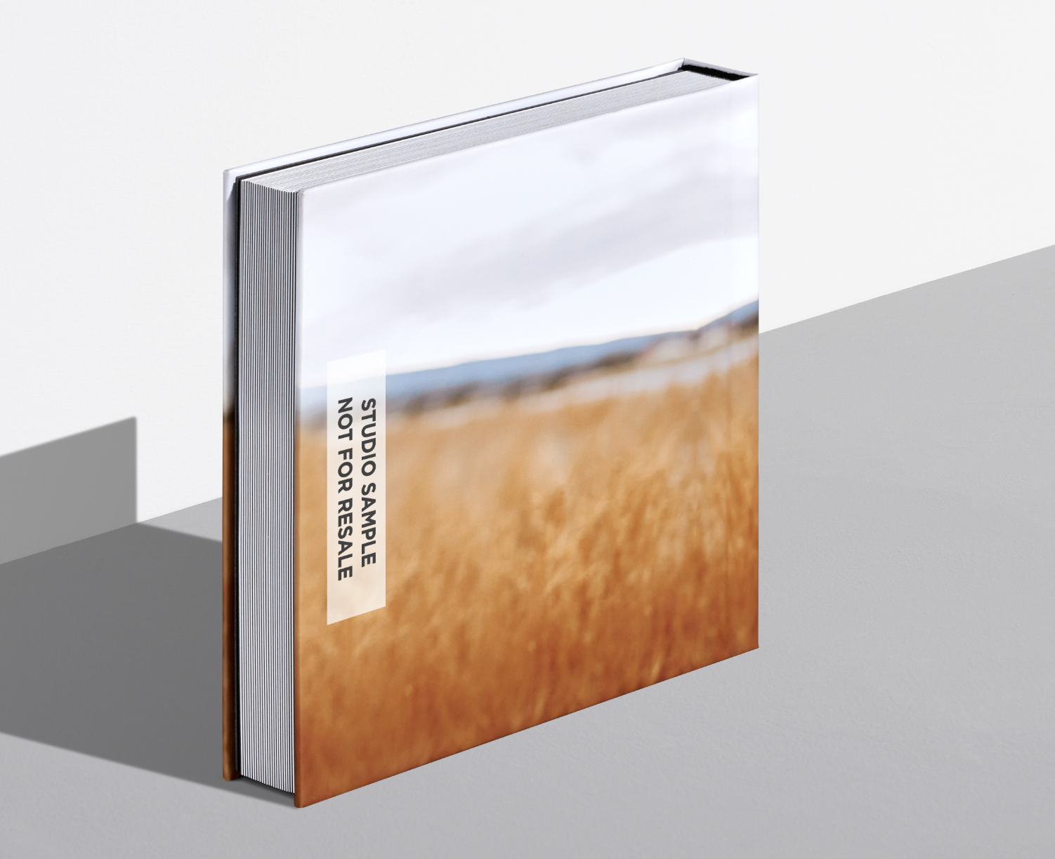 I ordered a custom sample book. Where will the sample watermark be ...